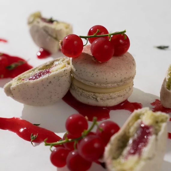 Ribizli, kakukkfű - 8 darabos - Currant, thyme - 8 pieces